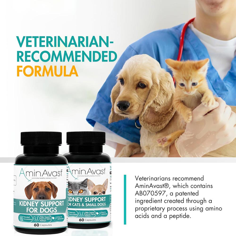 AMINAVAST-KIDNEY-SUPPORT-DOGS-720-CAPSULES