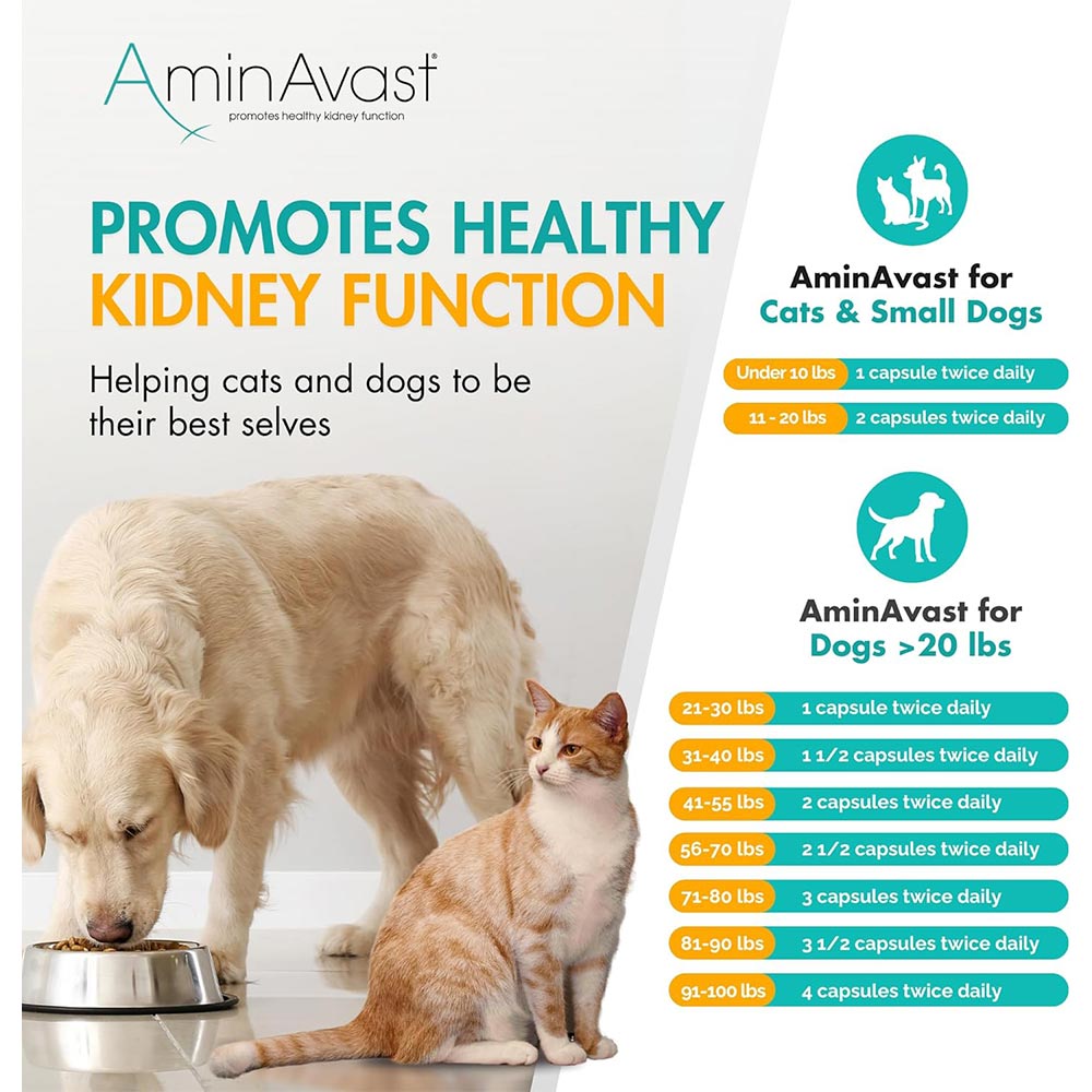 AMINAVAST-KIDNEY-SUPPORT-DOGS-720-CAPSULES
