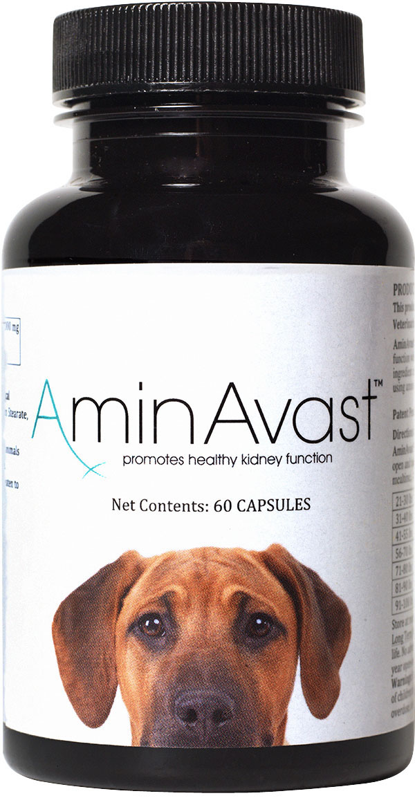 AminAvast Kidney Support