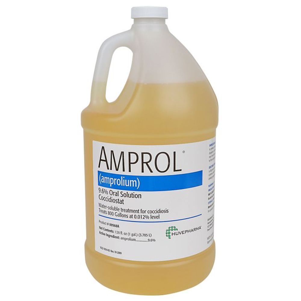 AMPROL-96-ORAL-SOLUTION-1-GALLON