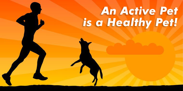 An Active Pet is a Healthy Pet