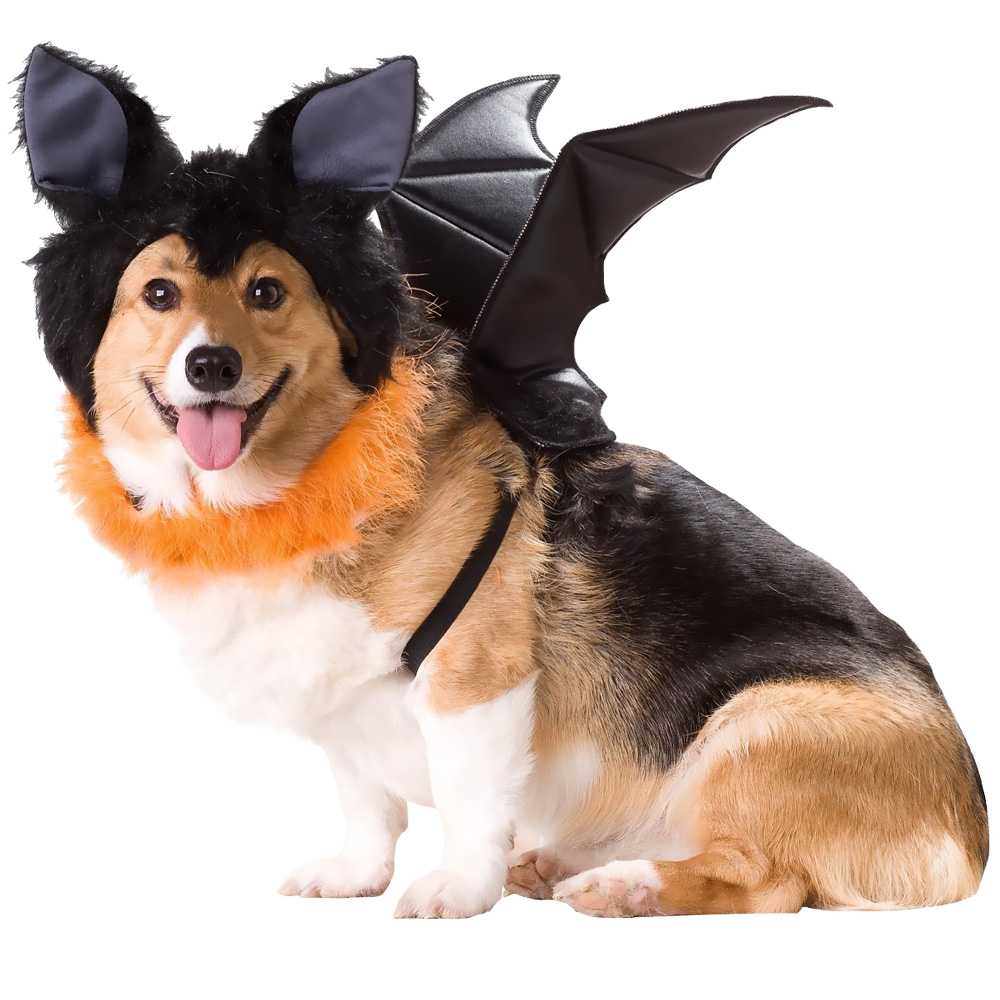 ANIMAL-PLANET-BAT-DOG-COSTUME-MEDIUM