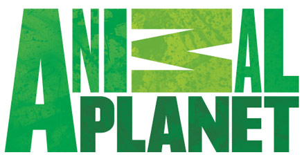 Animal Planet by California Costume Collections Inc.