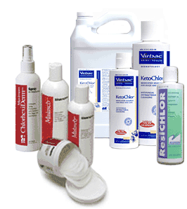 Anti-Microbial Shampoos