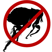 Anti-Parasitic Shampoos