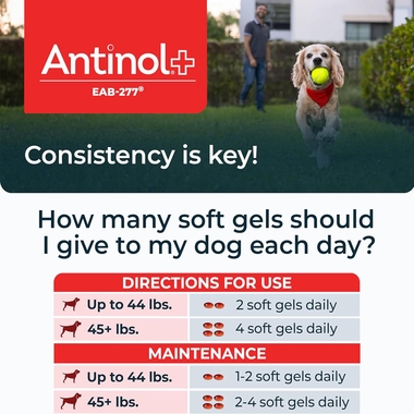 ANTINOL-PLUS-MOBILITY-HIP-JOINT-SUPPLEMENT-DOGS-60-SOFT-GELS