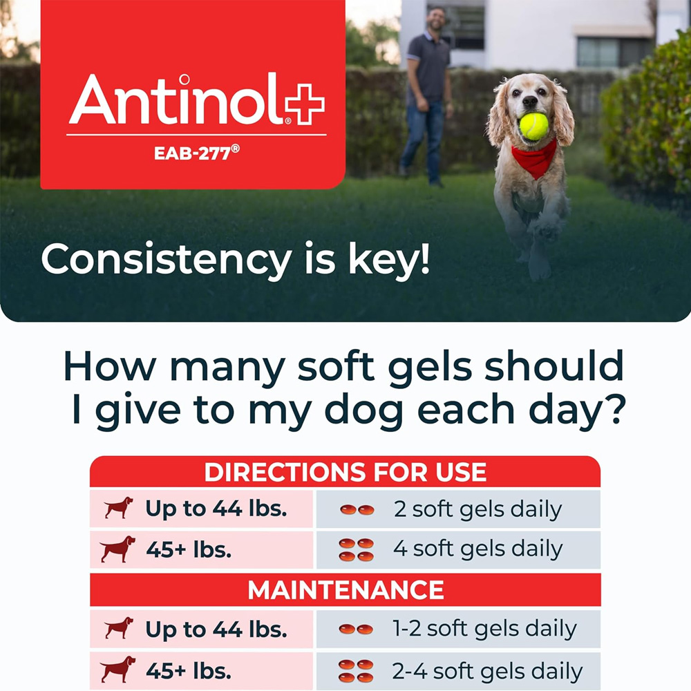 ANTINOL-PLUS-MOBILITY-HIP-JOINT-SUPPLEMENT-DOGS-90-SOFT-GELS