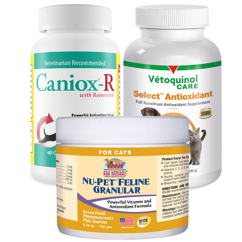 Antioxidants & Immune & Cognitive Support