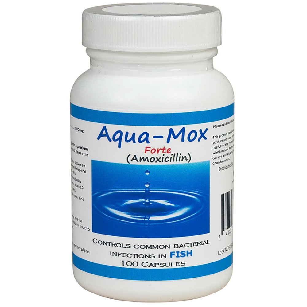 Amoxicillin Capsules 500mg Price