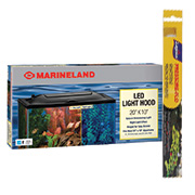 Aquarium Lighting