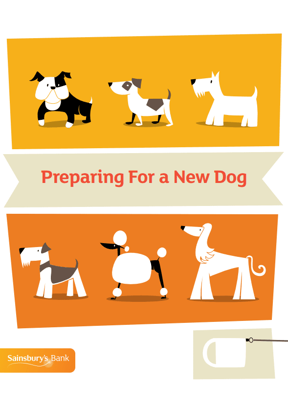 Are You Ready For A New Dog?