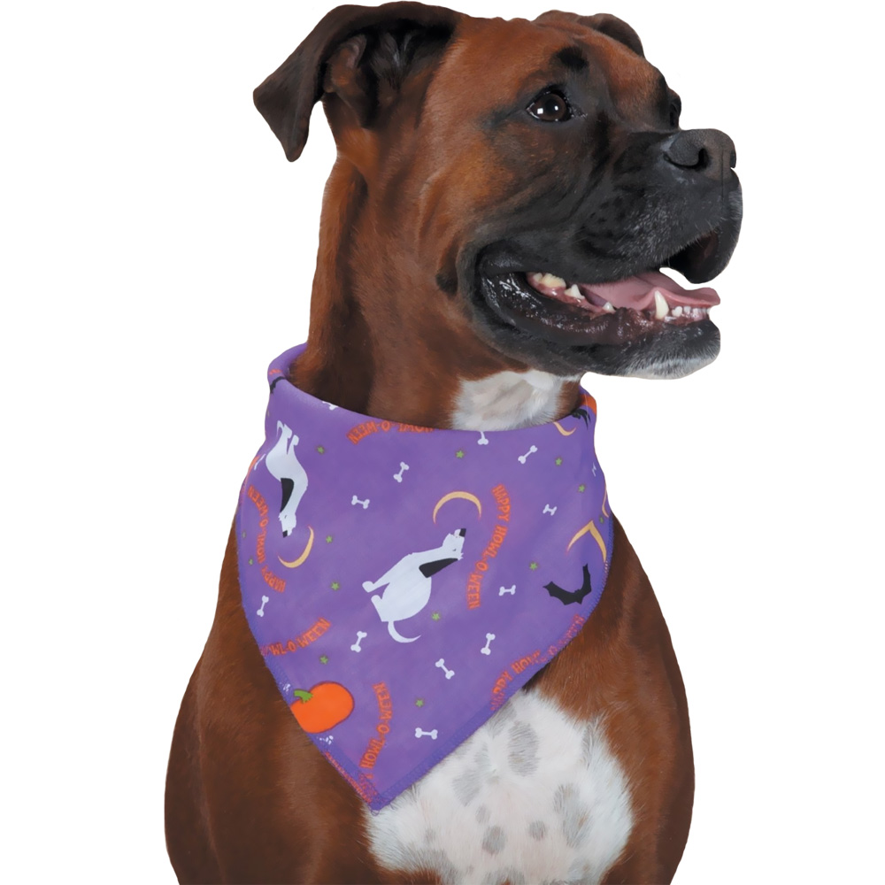ARIA-HAPPY-HOWL-O-WEEN-BANDANA-PURPLE