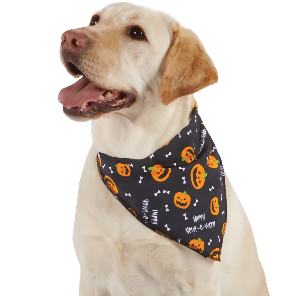 ARIA-HOWL-O-WEEN-PUMPKINS-BANDANA-BLACK