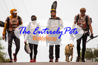 Arthur the Dog's Amazing Journey Across the Amazon Could Help Strays Everywhere, Switzerland Advocates and End to Eating Cats and Dogs, and Lucca the Military Dog is Honored for her Lifesaving Bravery-  This & More in the EntirelyPets Weekly Recap (November 22-28, 2014)