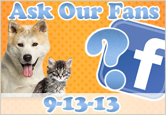 Ask Our Fans!