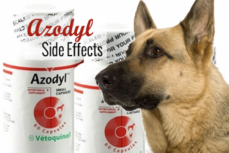 Azodyl Side Effects
