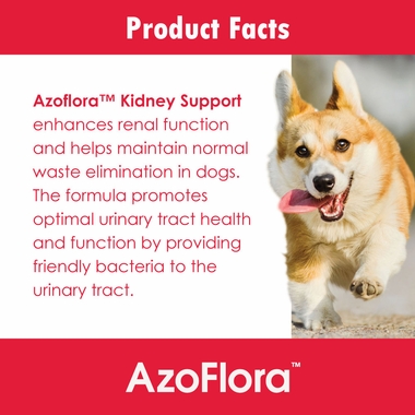 AZOFLORA-KIDNEY-SUPPORT-90-SOFT-CHEWS