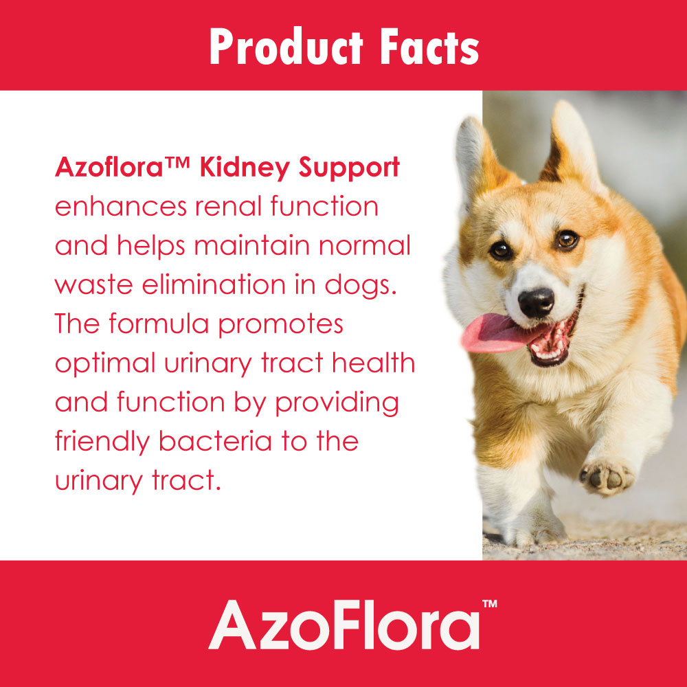 AZOFLORA-KIDNEY-SUPPORT-90-SOFT-CHEWS