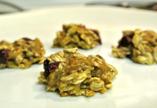 B'oat Bites Recipe for Dogs