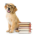 Back to School  Cat & Dog Training Supplies, Behavior Products & More