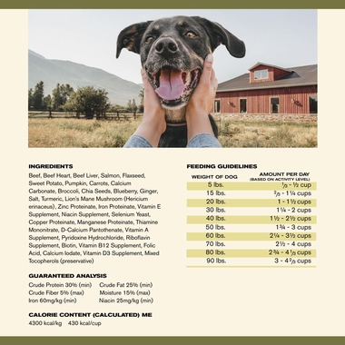 BADLANDS-RANCH-SUPERFOOD-COMPLETE-PREMIUM-AIR-DRIED-BEEF-DOG-FOOD-11-5-OZ