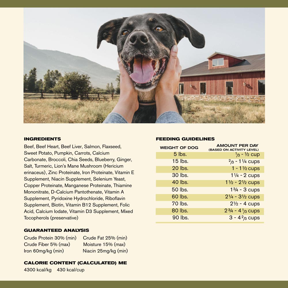 BADLANDS-RANCH-SUPERFOOD-COMPLETE-PREMIUM-AIR-DRIED-BEEF-DOG-FOOD-11-5-OZ