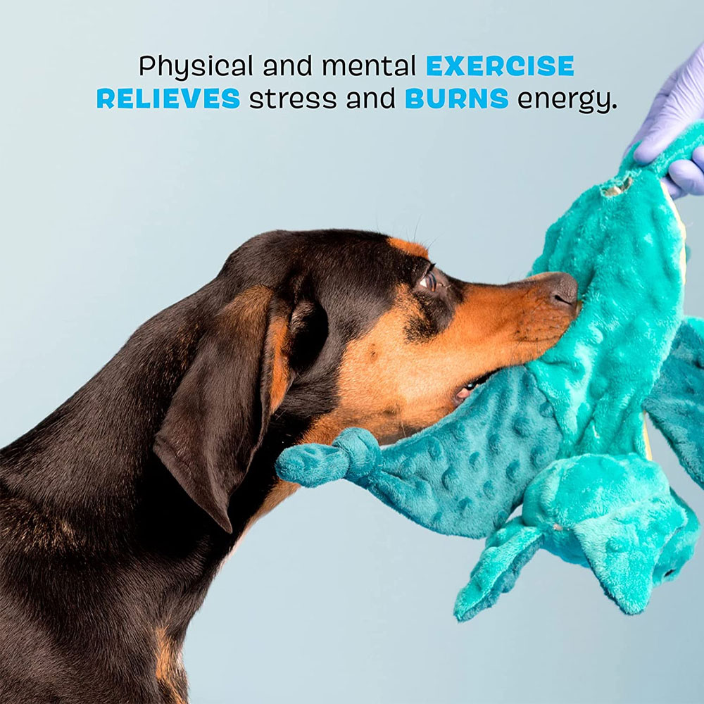 BARK Dingbert the Dragon Plush Dog Toy On Sale EntirelyPets