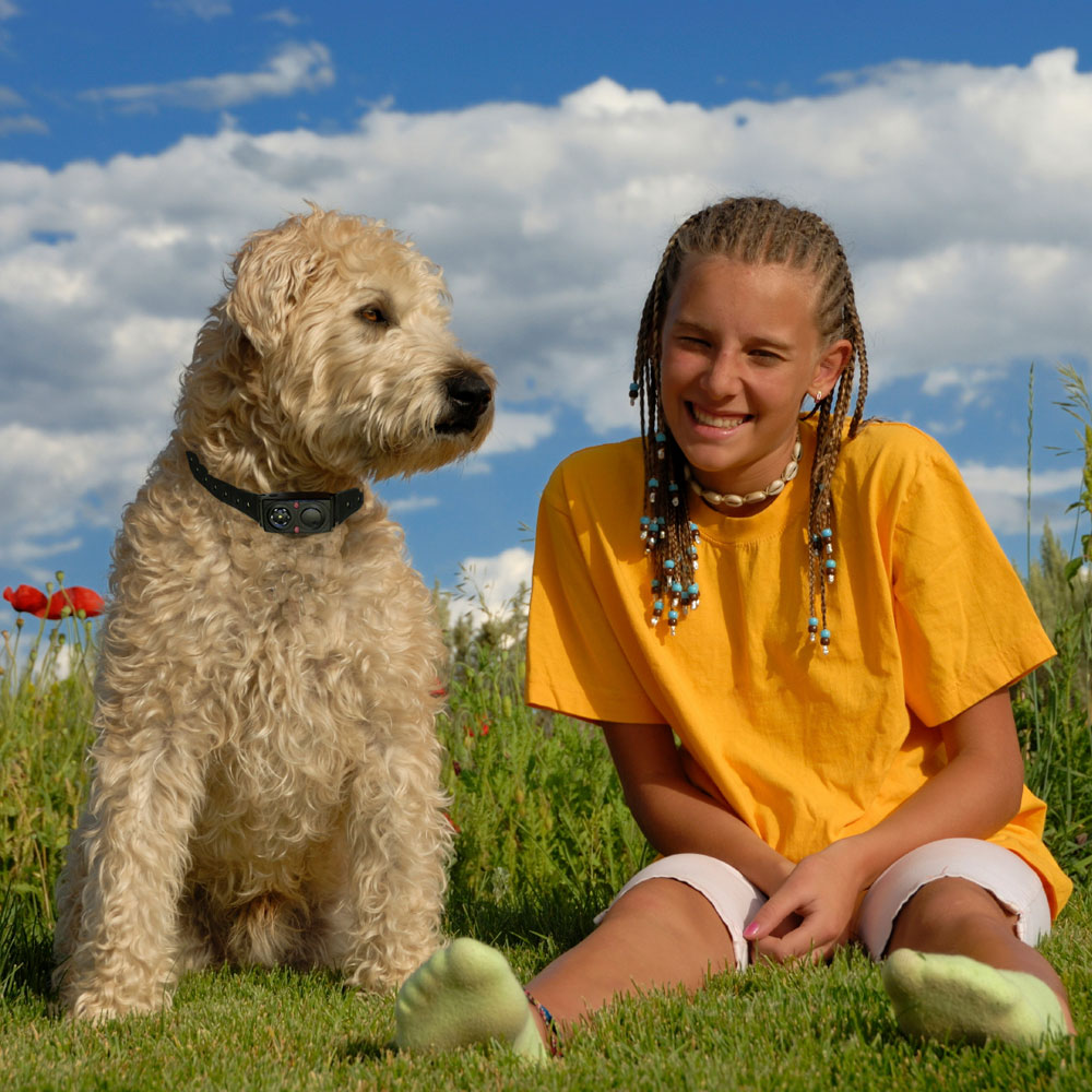 BARK-TERMINATOR-ADVANCED-BARK-CONTROL-COLLAR-BT-3