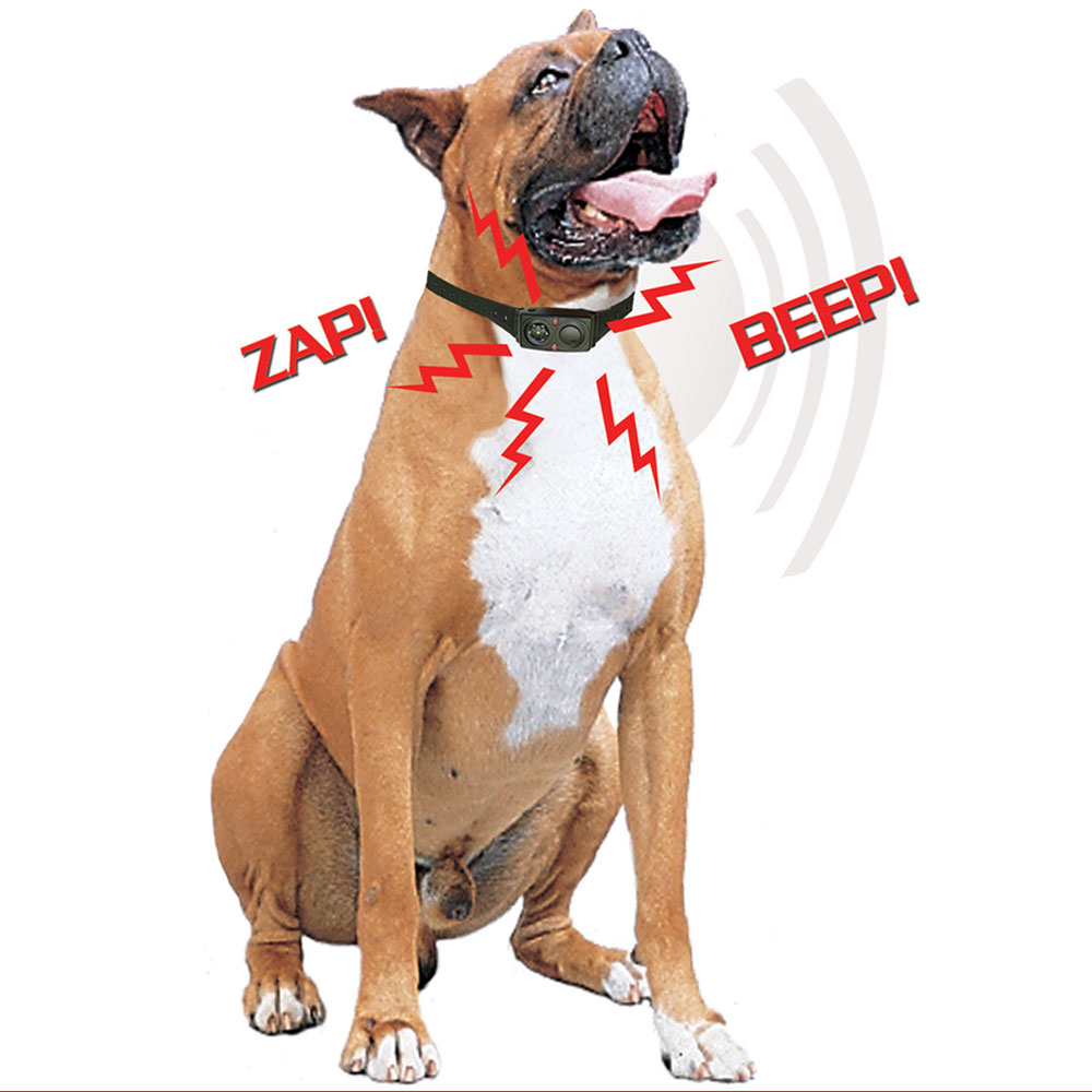 BARK-TERMINATOR-ADVANCED-BARK-CONTROL-COLLAR-BT-3