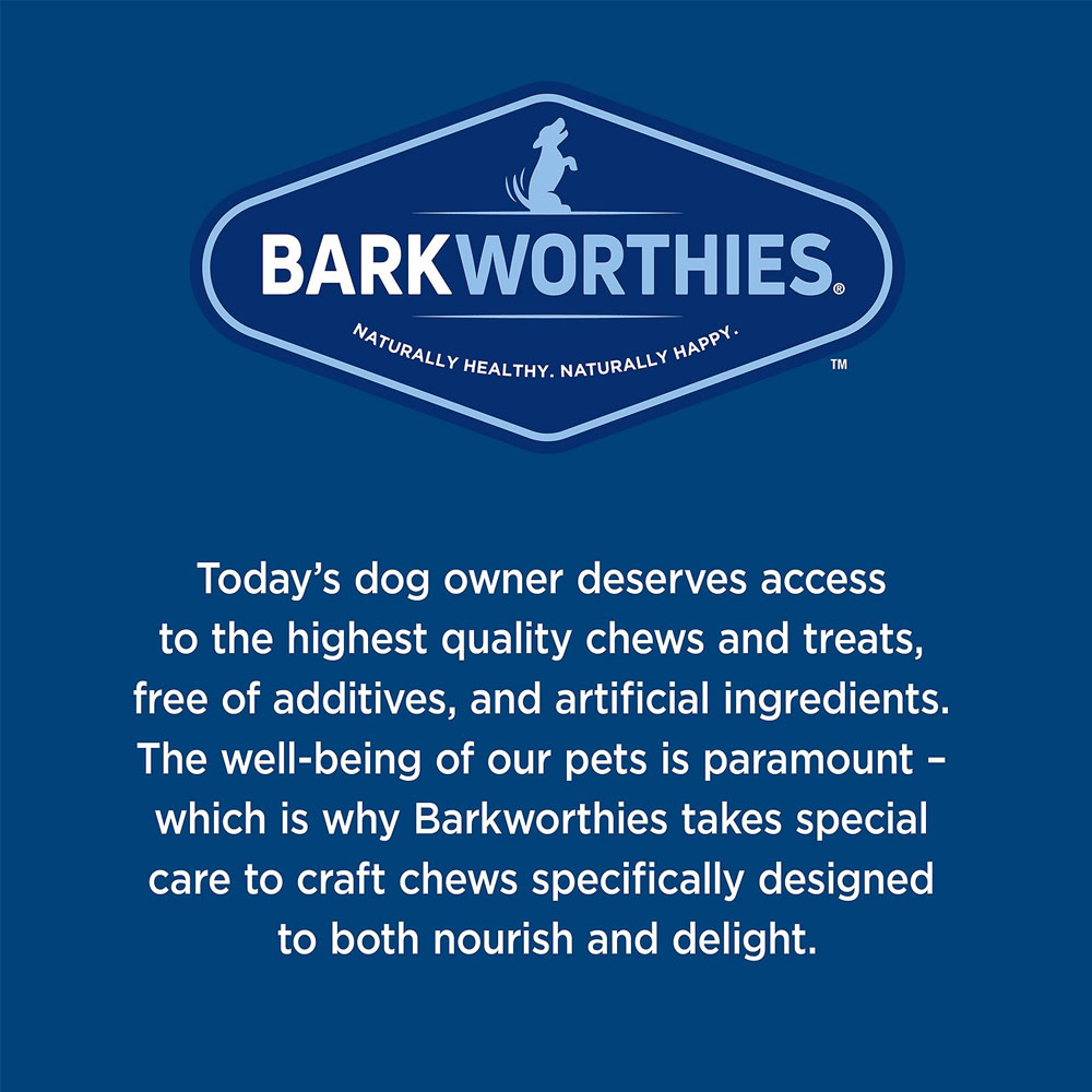 BARKWORTHIES-LEG-BONE-LARGE