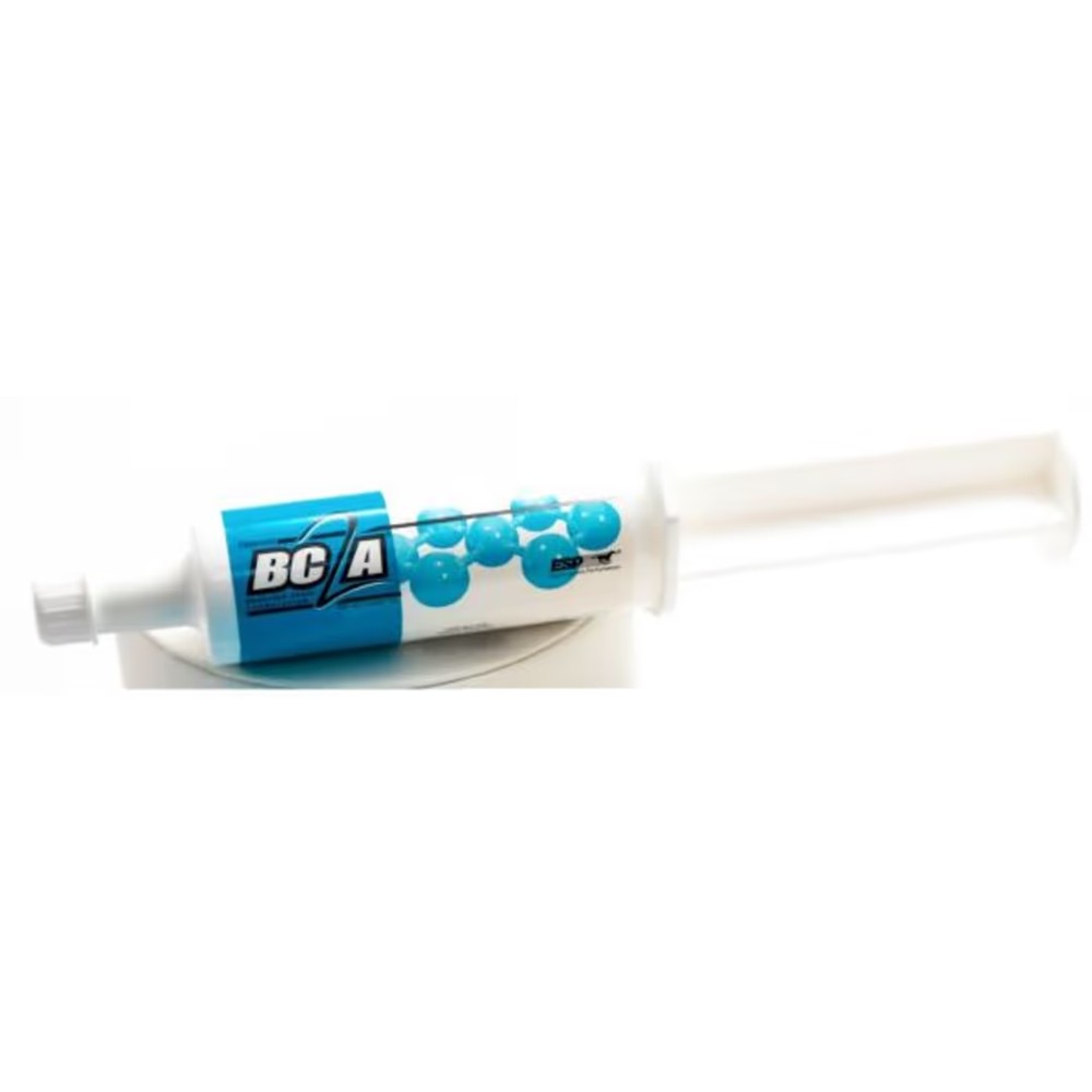 BC2A-ORAL-PASTE-55-G-SYRINGE