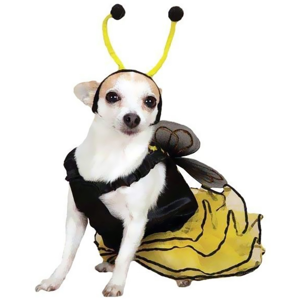 CASUAL-CANINE-BEE-MINE-COSTUME-YELLOW-XSMALL