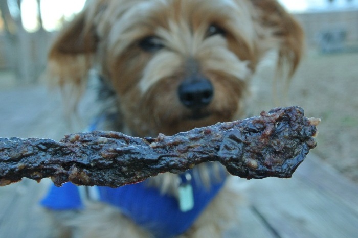 Beef Jerky Recipe for Dogs