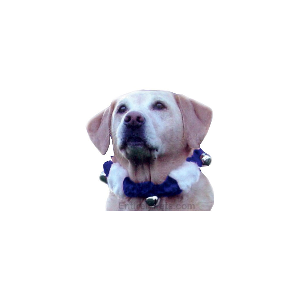 BELLCOLLARSM