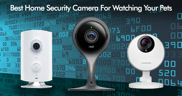  Best Home Security Cameras For Pets