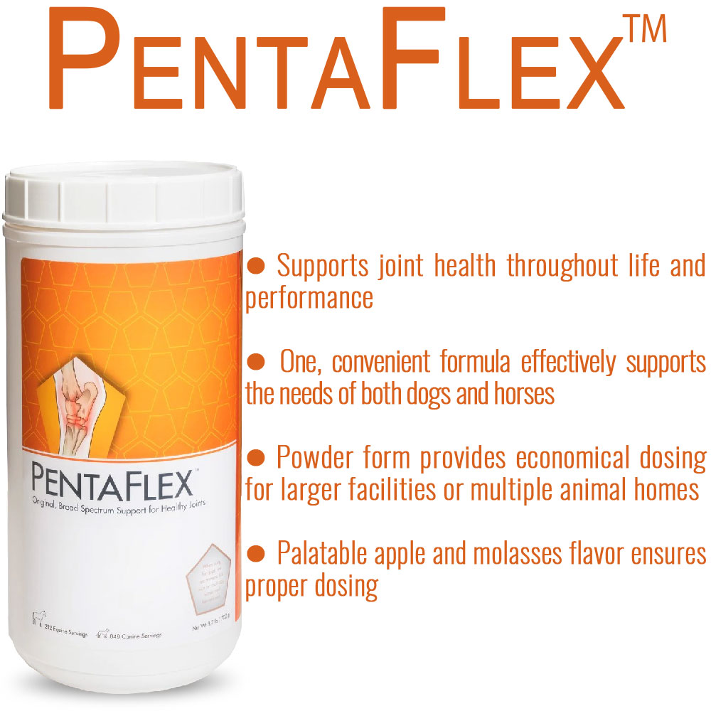 PENTAFLEX-POWDER-1700GM