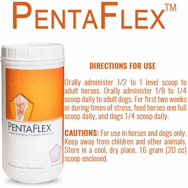 PENTAFLEX-POWDER-1700GM
