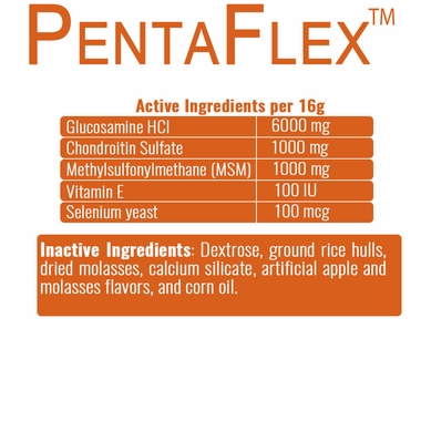 PENTAFLEX-POWDER-1700GM