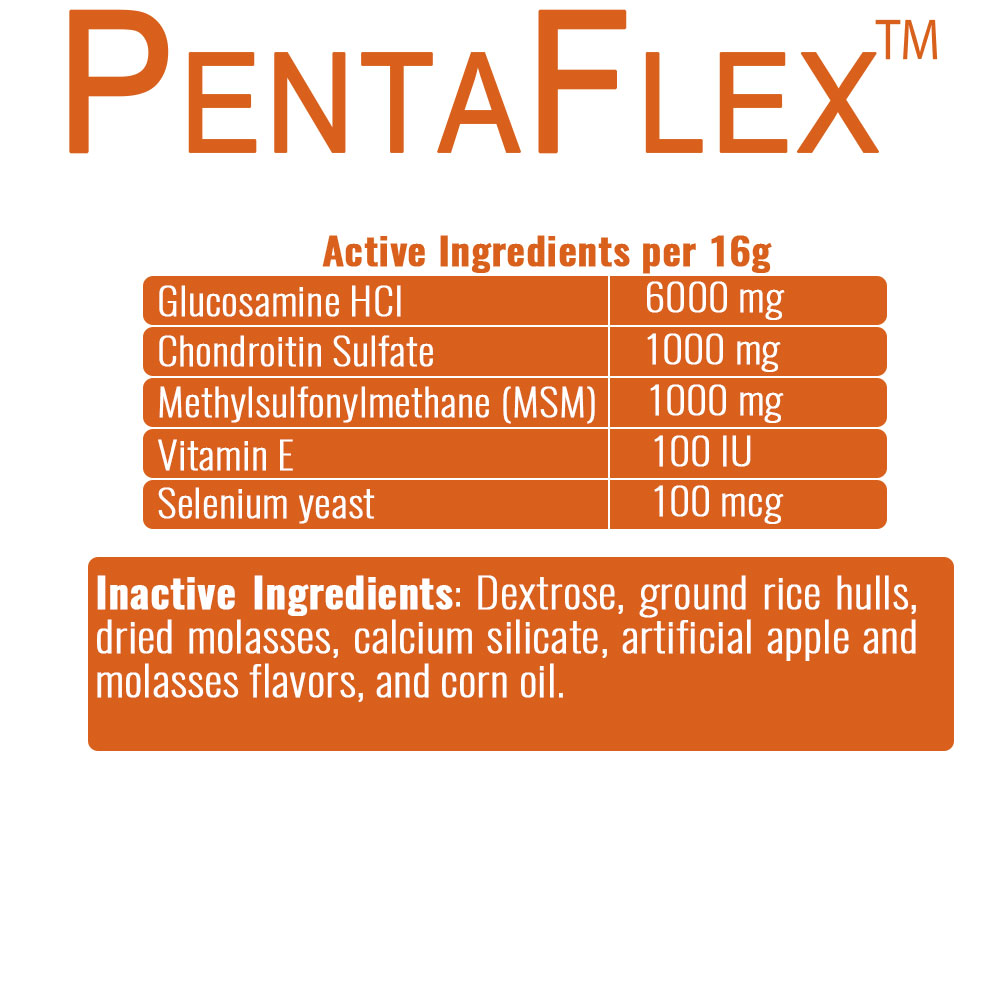 PENTAFLEX-POWDER-1700GM