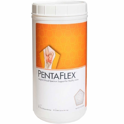 PENTAFLEX-POWDER-1700GM