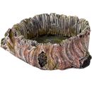 BioBubble Decorative Stump Bowl - Large (3.75" x 3.75" x 1.35")