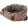 BioBubble Decorative Stump Bowl - Large (3.75" x 3.75" x 1.35")