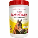 BiotinDAILY Hoof, Coat, Digestive Supplement for Horses (2.5 lb) - [Nutritional Support]