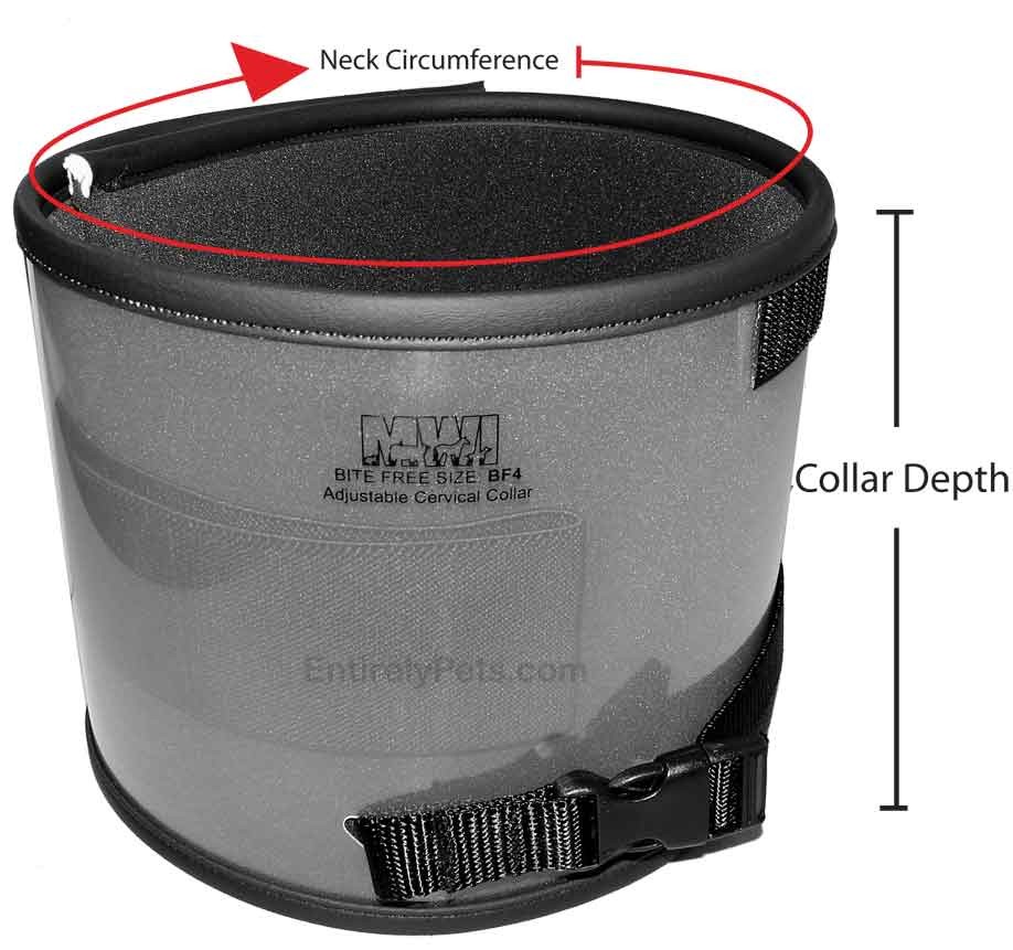 Bite-Free Collar
