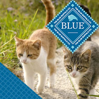 Blue Buffalo Cat Food