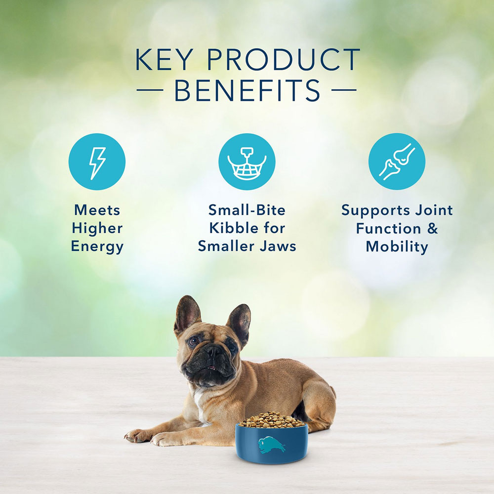 Blue Buffalo Freedom Small Breed Adult Chicken Recipe GrainFree Dry