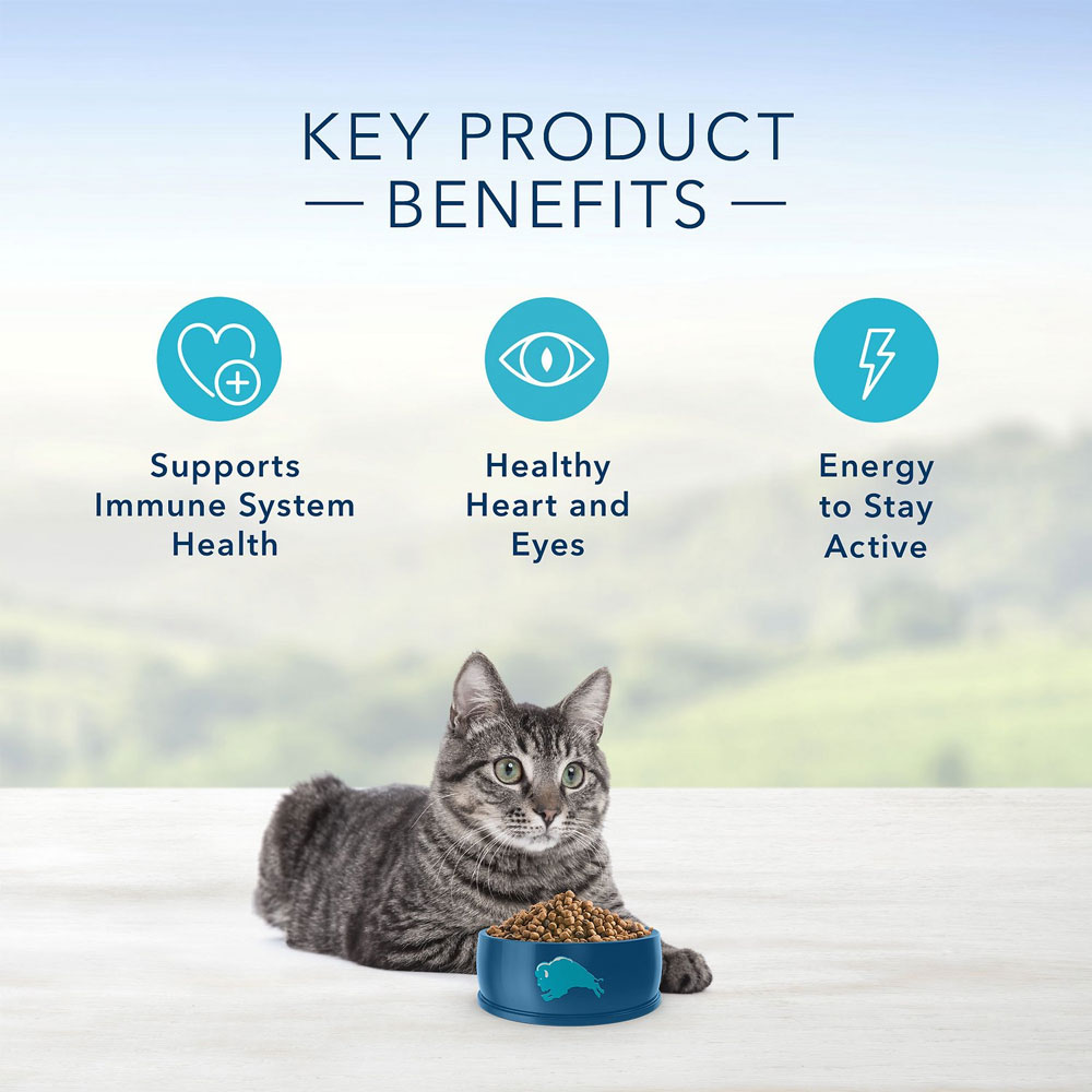 Blue Buffalo Healthy Aging Chicken & Brown Rice Recipe Mature Dry Cat