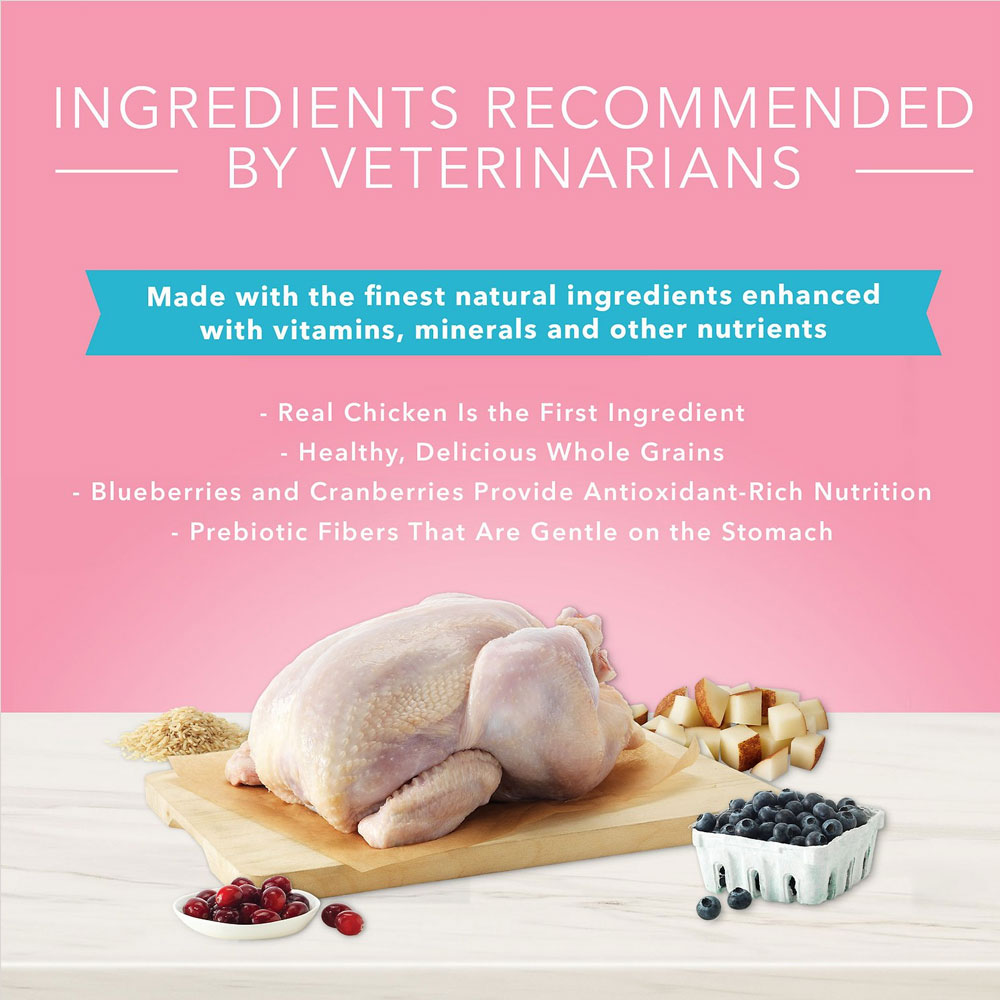 Blue Buffalo True Solutions Blissful Belly Digestive Care Formula Dry