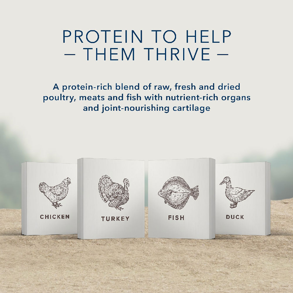 BLUE-CARNIVORA-COASTAL-BLEND-GRAIN-FREE-ADULT-CATS-10LB