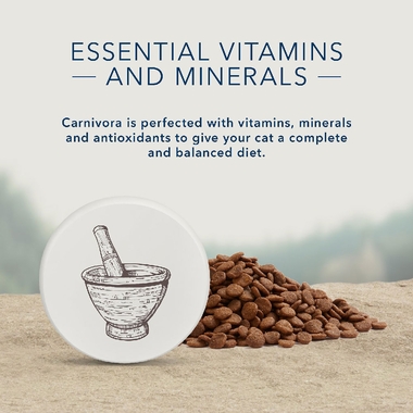 BLUE-CARNIVORA-COASTAL-BLEND-GRAIN-FREE-ADULT-CATS-4LB